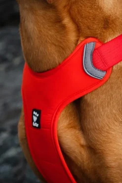 Hurtta Weekend Warrior Eco vetovaljaat, punaoranssi, 100–120 cm