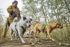 Hurtta Weekend Warrior II ECO Sele valjaat, 65-100cm, Parsley