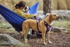 Hurtta Weekend Warrior II ECO Sele valjaat, 40-60cm, Eggplant