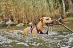 Hurtta Weekend Warrior II ECO Sele valjaat, 40-60cm, Eggplant