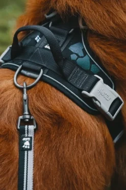 Hurtta Weekend Warrior Sele Raven 45-60 cm