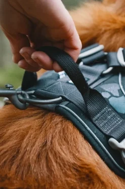 Hurtta Weekend Warrior Sele Raven 45-60 cm