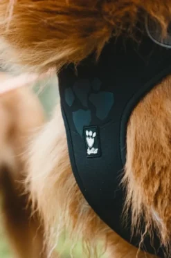 Hurtta Weekend Warrior Sele Raven 45-60 cm