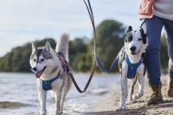 Hurtta Weekend Warrior Warming ECO valjaat, Bilberry 40-60 cm