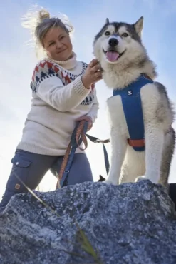 Hurtta Weekend Warrior Warming ECO valjaat, Bilberry 40-60 cm