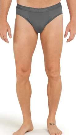Icebreaker Anatomica Briefs bokserit, Jet Heather