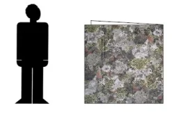 Jervenduken Thermo Forest