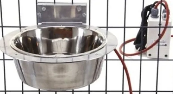 Jämpti lämmitettävä koiran juomakuppi tarhan sisäpuolelle