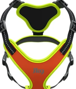 Julius K9 Mantrailing Sele valjaat, XS-S, oranssi