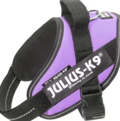 Julius-K9 IDC Mini -valjaat (49-67 cm)