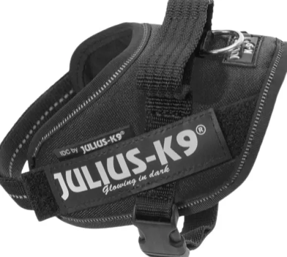 Julius-K9 IDC Mini-mini -valjaat (40-53 cm)