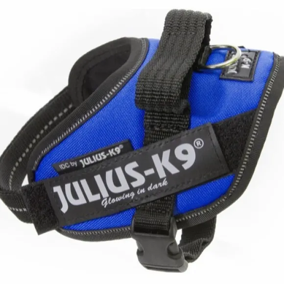 Julius-K9 IDC Mini-mini -valjaat (40-53 cm)