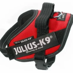 Julius-K9 IDC Mini-mini -valjaat (40-53 cm)
