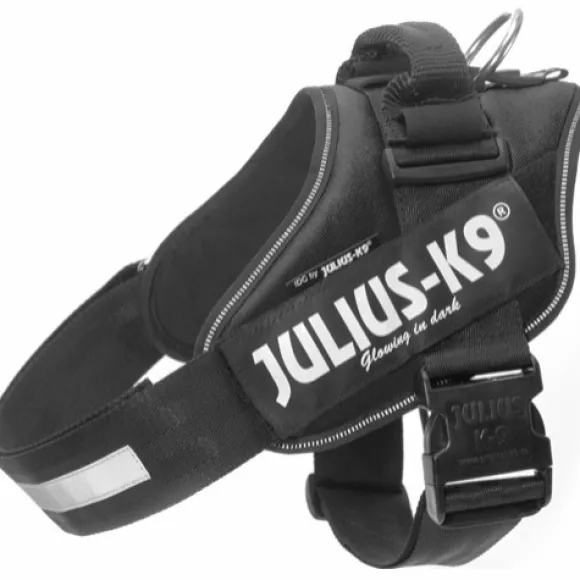 Julius-K9 IDC Power -valjaat (71-96 cm)