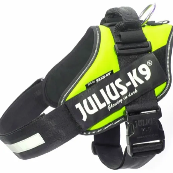 Julius-K9 IDC Power -valjaat (63-85 cm)