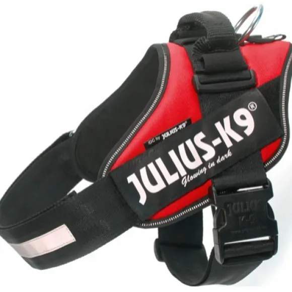 Julius-K9 IDC Power -valjaat (63-85 cm)