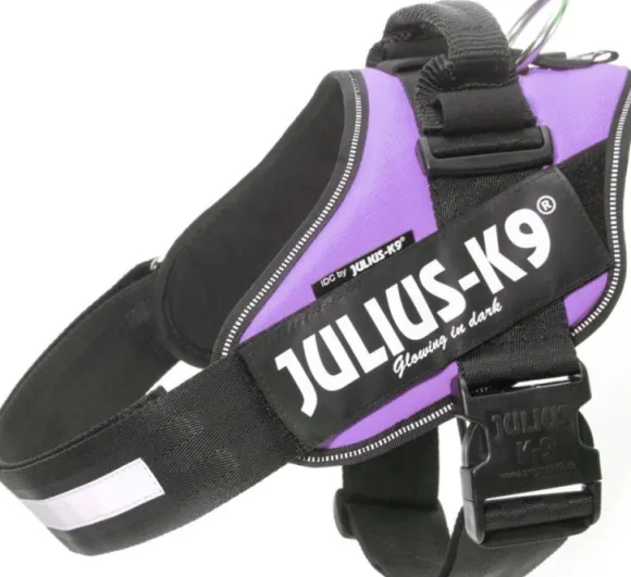 Julius-K9 IDC Power -valjaat (63-85 cm)