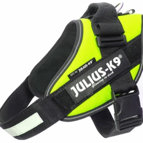 Julius-K9 IDC Power -valjaat (58-76 cm)