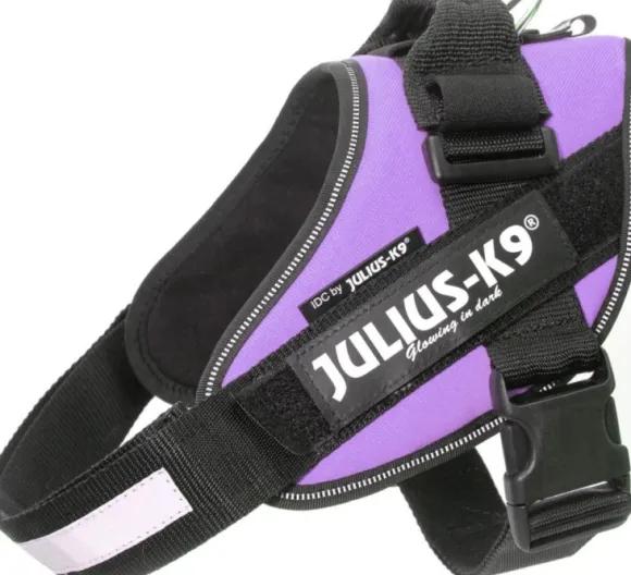 Julius-K9 IDC Power -valjaat (58-76 cm)