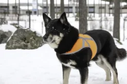 Kivalo Kaamos Dog Reflective Vest heijastinliivi koirille, M-L, oranssi