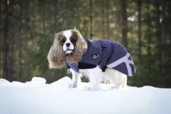 Kivalo Luosto Dog Winter Jacket koiran talvitakki, 35 cm, harmaa