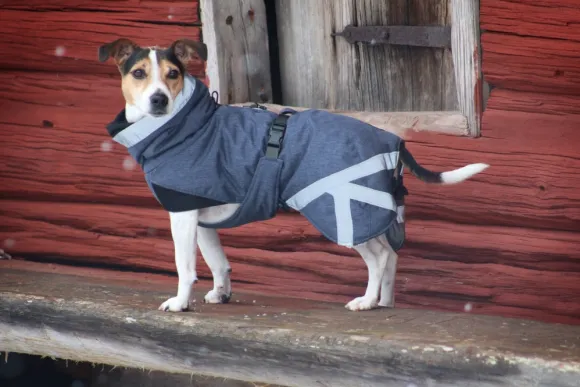 Kivalo Luosto Dog Winter Jacket koiran talvitakki, 50 cm, harmaa