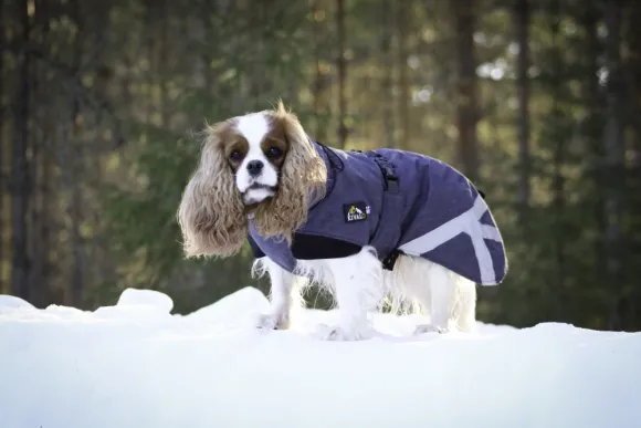 Kivalo Luosto Dog Winter Jacket koiran talvitakki, 40 cm, harmaa