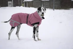 Kivalo Luosto Dog Winter Jacket koiran talvitakki, 50 cm, pinkki