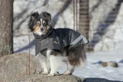 Kivalo Niva Dog Raincoat koiran sadetakki, 55 cm, harmaa