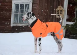 Kivalo Ohto Dog Wind Jacket koiran tuulitakki, 50 cm, oranssi
