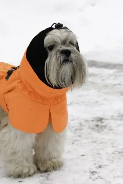 Kivalo Ohto Dog Wind Jacket koiran tuulitakki, 50 cm, oranssi