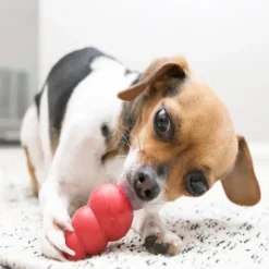 Kong Classic koiranlelu, S, punainen