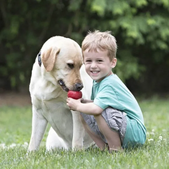 Kong Classic koiranlelu, S, punainen