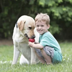 Kong Classic koiranlelu, XXL, punainen