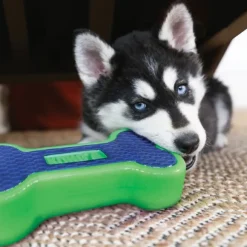 Kong Eon Bone koiranlelu, L