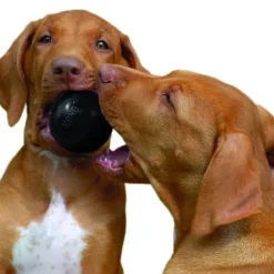 Kong Extreme Ball koiranlelu, M/L