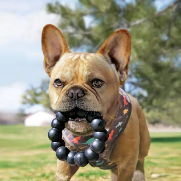 Kong Extreme Ring purulelu, XL