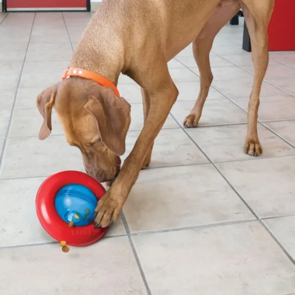 Kong Gyro koiranlelu, L