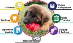 Kong Puppy koiranpennun lelu, M, Mix