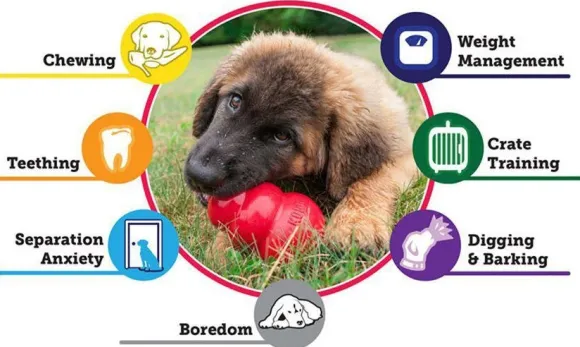 Kong Puppy koiranpennun lelu, M, Mix