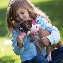 Kong Puppy koiranpennun lelu, M, Mix