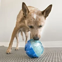 Kong Reward Ball koiranlelu, Large