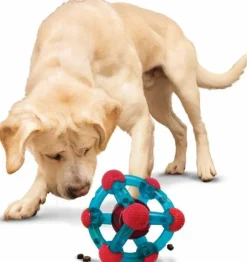 Kong Rewards Tinker koiranlelu, M/L