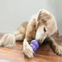 Kong Senior koiranlelu, M