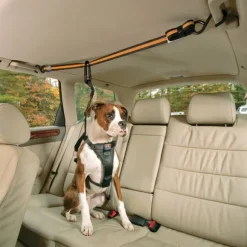 Kurgo Auto Zip Line turvavyönkiinnike hihnalla, musta/oranssi