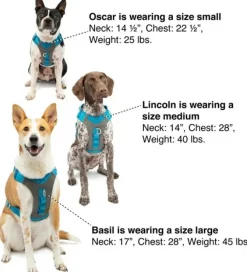 Kurgo Journey Air Harness koirien valjaat, Coral