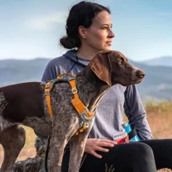 Kurgo Journey Air Harness koirien valjaat, Coral