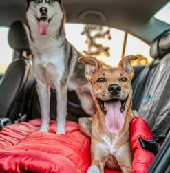 Kurgo Wander Bed Loft rullattava koiranpeti, Large, punainen