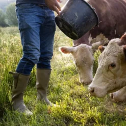 Le Chameau Men's Vierzon Boot