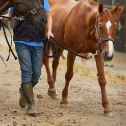 Le Chameau Men's Vierzonord Neoprene Lined Boot Brown